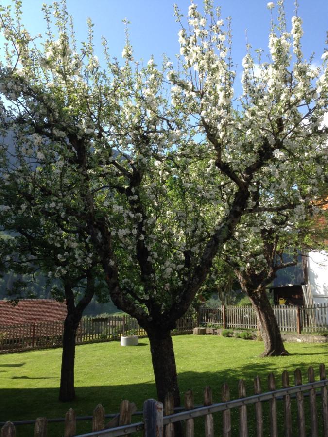 Appartamento Casa Schuoler Disentis Esterno foto