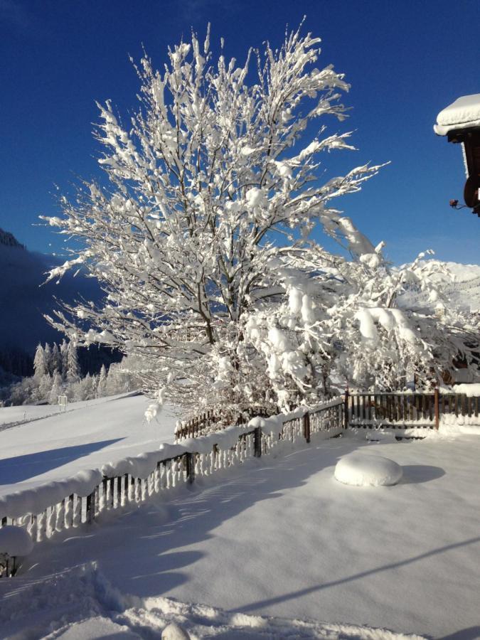 Appartamento Casa Schuoler Disentis Esterno foto