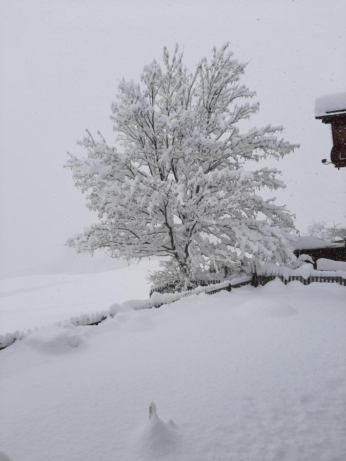 Appartamento Casa Schuoler Disentis Esterno foto