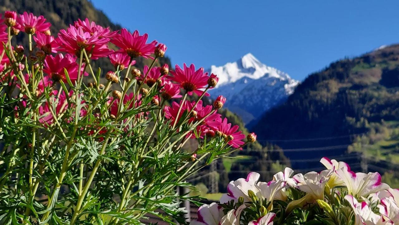 Appartamento Casa Schuoler Disentis Esterno foto